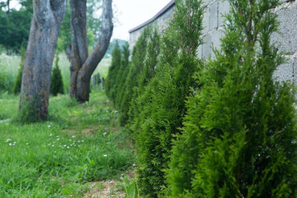 Vila Kuca Za Odmor Marija Vrhovine Exteriér fotografie